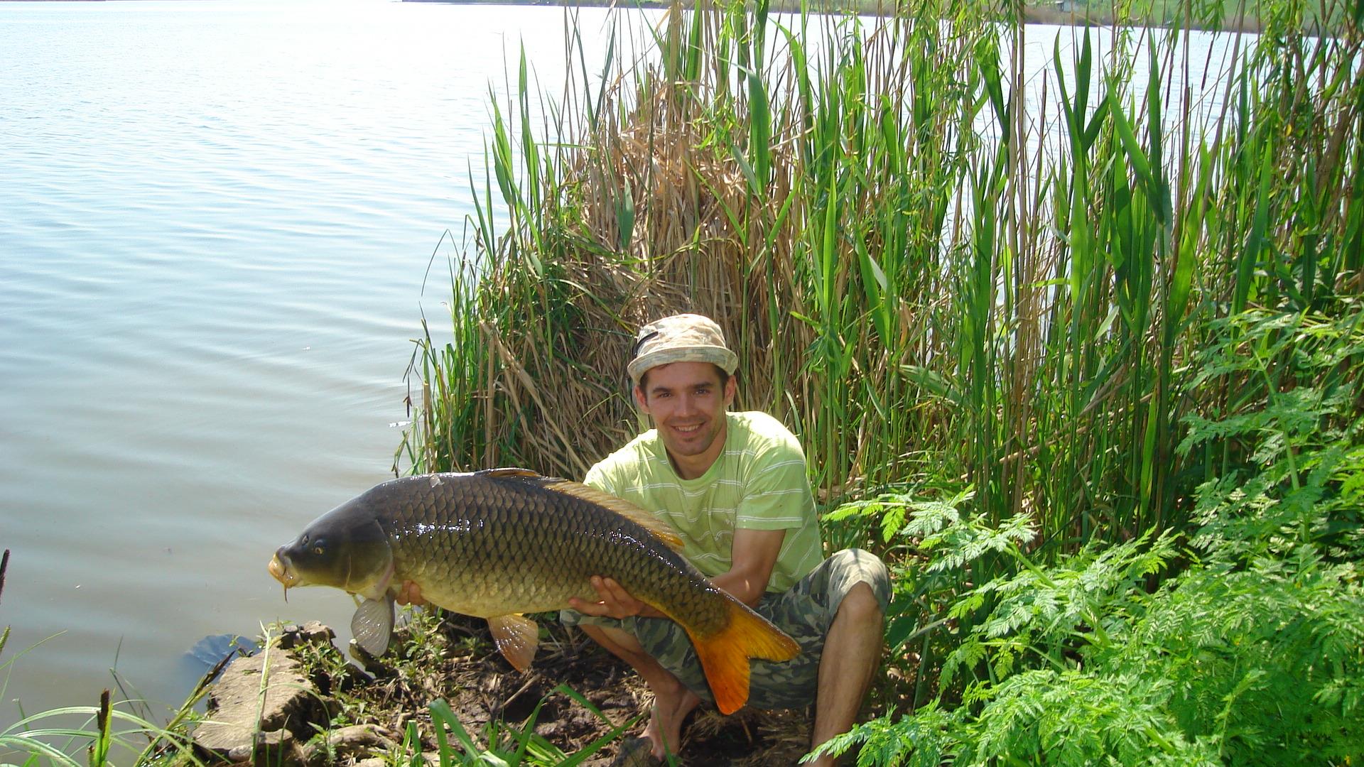 Tâncăbeşti  - dsc03287.JPG